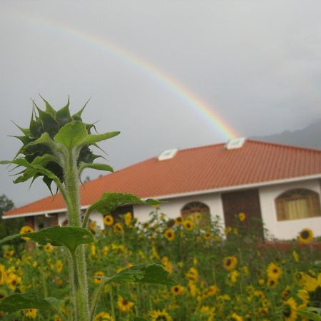 Hosteria Oro Azul Cotacachi Bagian luar foto