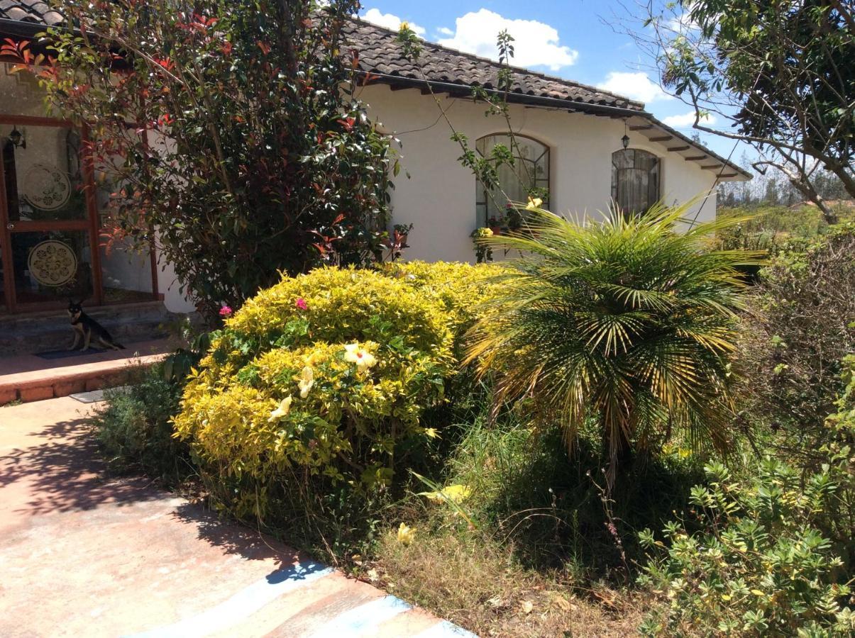 Hosteria Oro Azul Cotacachi Bagian luar foto